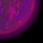 images_344